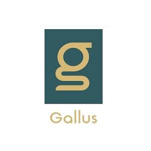 Gallus Medical Detox Centers - Denver