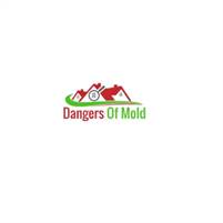 Dangers Of Mold Dangers  Of Mold